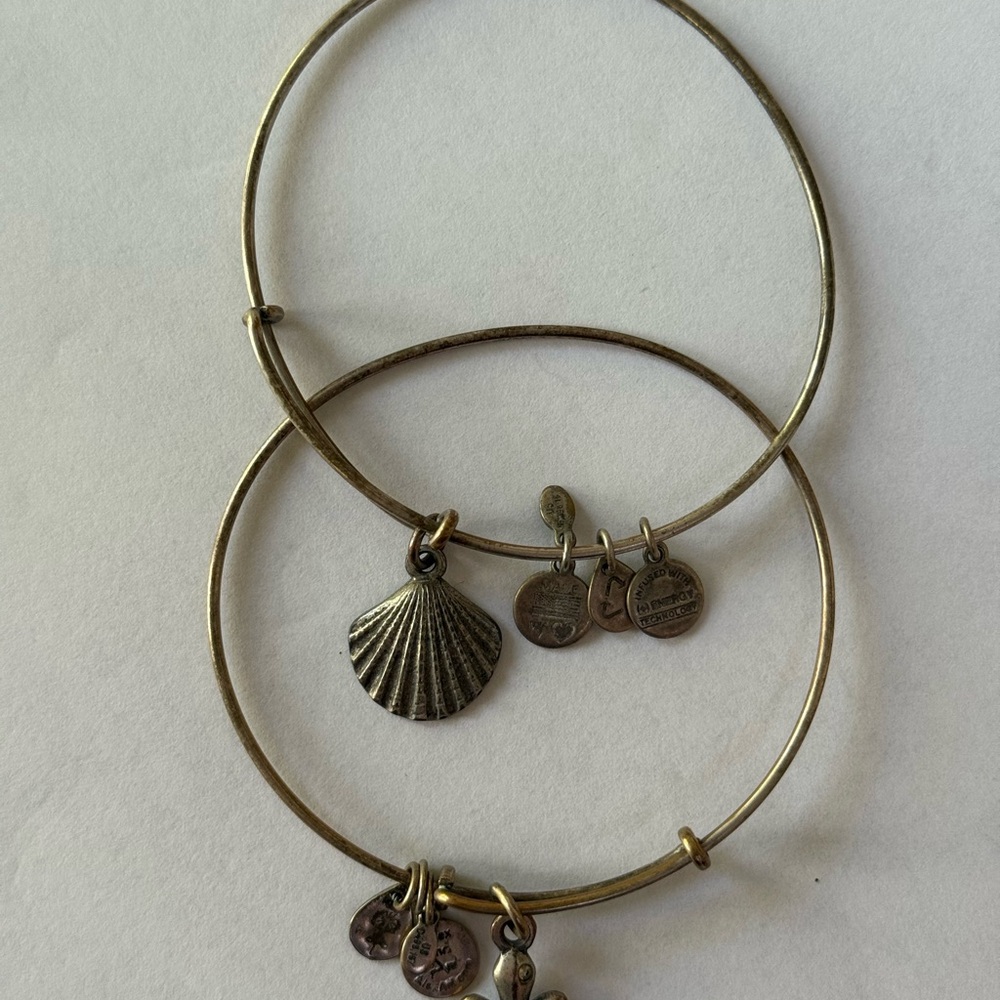 Alex and Ani Silver Charm Bracelet Duo